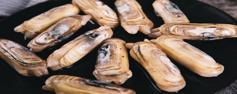 新鲜蛏子怎么洗干净 冰冻的蛏子怎么去沙子