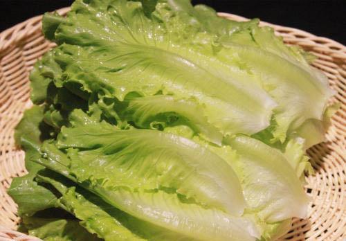 晚餐吃什么减肥又营养 晚餐吃什么减肥又营养又不胖