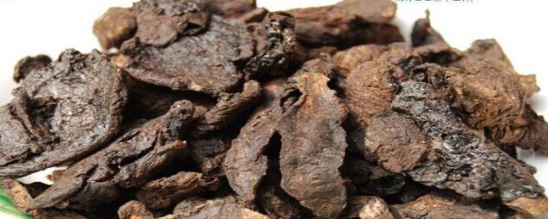 生地与熟地的功效与作用 生地与熟地的功效与作用区别