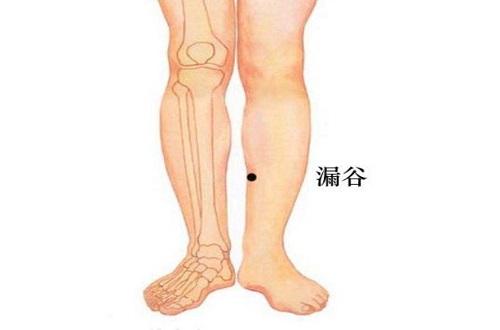 漏谷准确位置图(漏谷准确位置图和作用的准确位置图片)