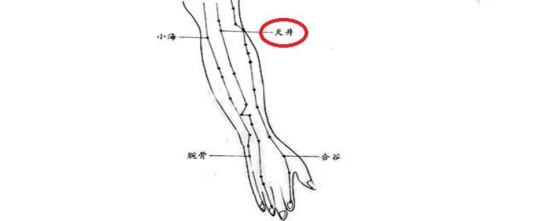 天井位置及功效 天井的功效