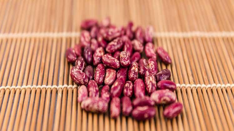 小肾豆的作用与功效（小肾豆怎么吃,他都有哪些功效）