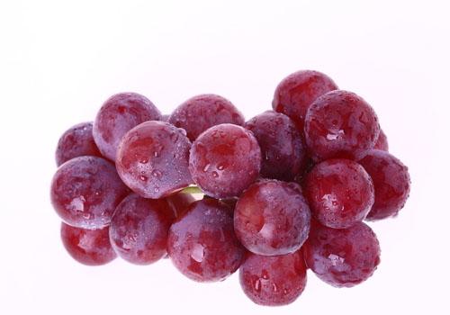 春季减肥吃什么好 春季减肥吃什么好一点