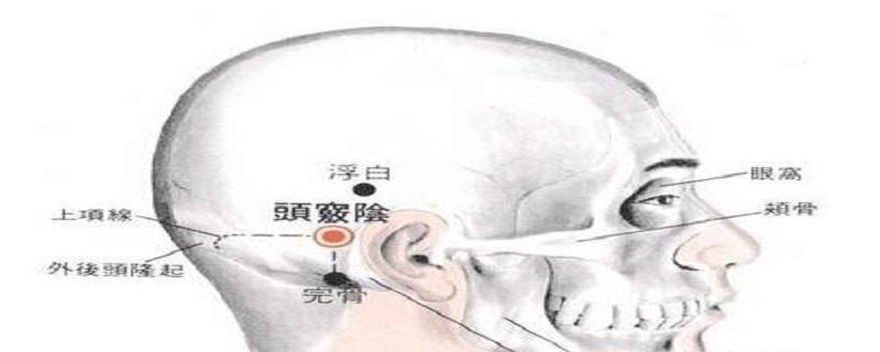 头窍阴在什么位置图片（头窍明对应身体哪个部位?）