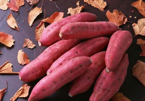 冬天吃什么减肥最有用 冬天减肥适合吃什么食物