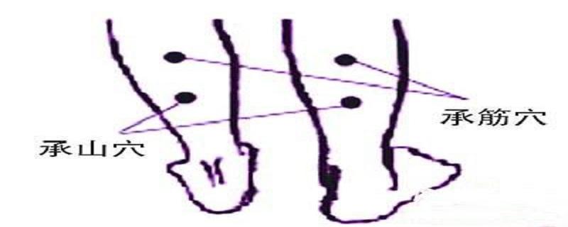 承筋的位置图片(承筋位置图和作用)