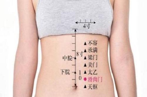 滑肉门功效与作用（滑肉门的功效与作用）