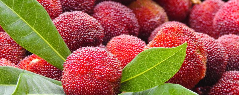 梅果泡酒有什么功效（梅果泡酒有什么功效和作用）