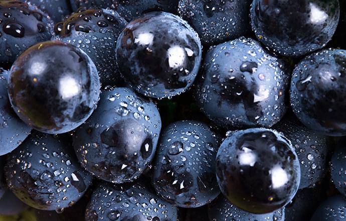 黑葡萄干有什么功能与作用 黑葡萄干有什么功能与作用及禁忌