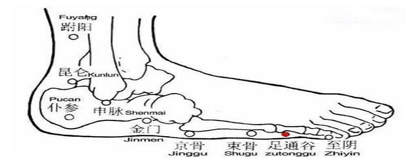 足通谷在什么位置图片（足通谷的位置作用及功效）