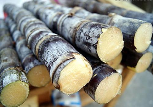 吃什么甘蔗能补气血吗 甘蔗有补血的功效吗