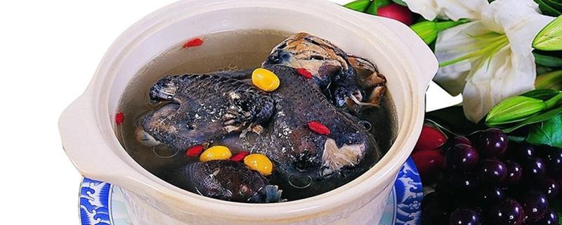 虫草乌鸡汤的功效与作用（虫草乌鸡汤的功效与作用是什么）