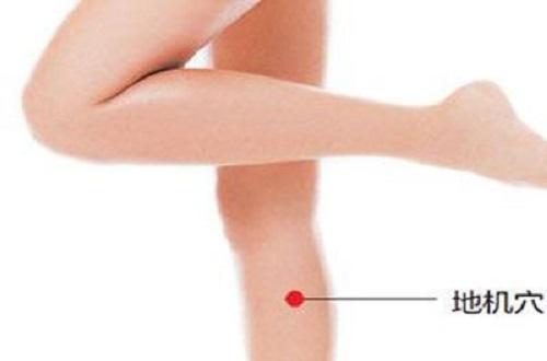 地机准确位置图和作用（地机准确位置图和作用视频）