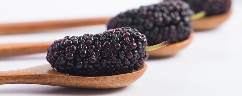 桑葚干泡水放多少好(桑葚干泡水放多少好喝)