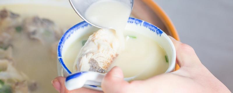 鱼头豆腐汤选哪种鱼头 鱼头豆腐汤哪种鱼头好