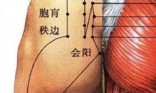 会阳准确位置图和作用 会阳准确位置图和作用及功