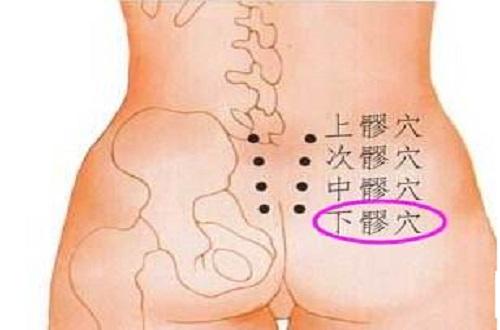 下髎的准确位置图（下髎的准确位置图尺寸）