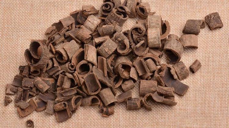 姜厚朴的功效与作用 姜厚朴的功效与作用图片