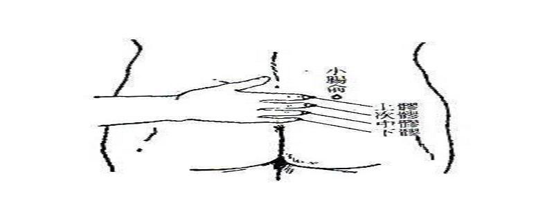 小肠俞怎么找最方便（小肠俞的准确位置图片及功效）