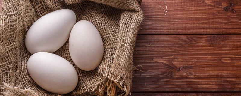 鹅蛋煮吃有啥功效（鹅蛋煮吃有啥功效与作用）