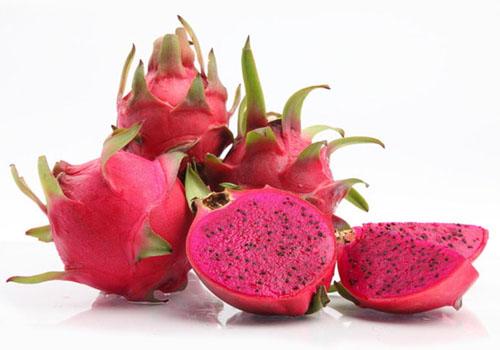 宝宝能吃火龙果吗（宝宝能吃火龙果吗 12个月）