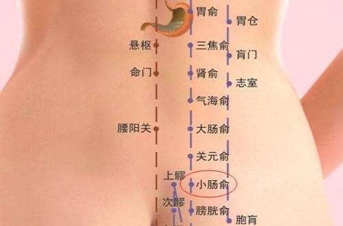 小肠俞的准确位置图和作用（小肠俞的准确位置图和作用视频）