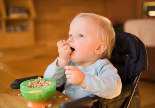 宝宝多大可以吃肉 宝宝多大可以吃肉泥