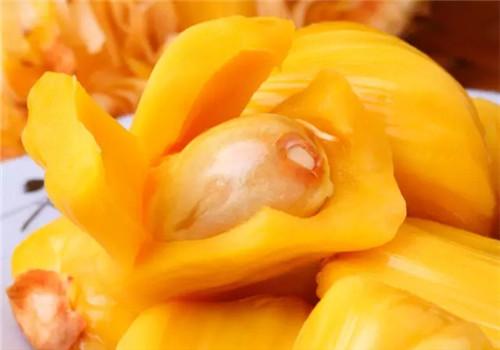 菠萝蜜的核能吃吗(菠萝蜜的核能吃吗?)