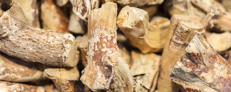 五爪毛根的功效与作用（五指毛根的功效与作用）