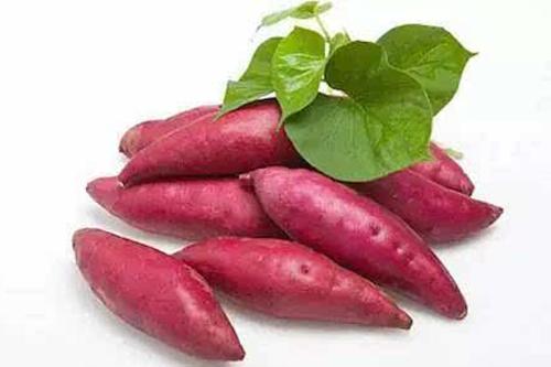 红薯的功效与禁忌 这样吃后果很严重