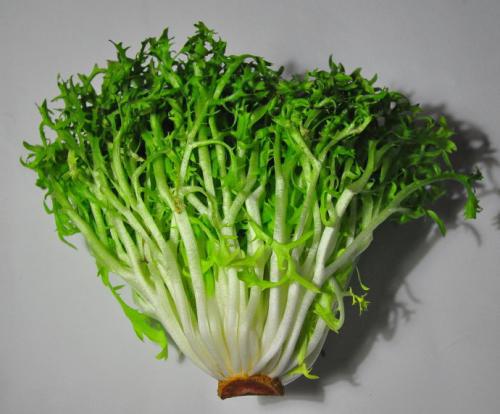 怎么快速排尿酸（怎么快速排尿酸结晶）