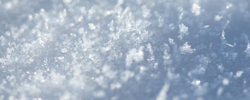 梅片的功效与作用（梅片的功效与作用图片）