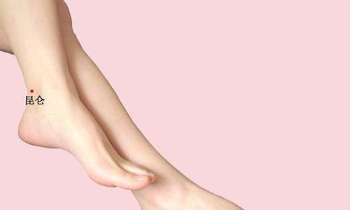 昆仑的功效与作用 昆仑雪菊的功效与作用