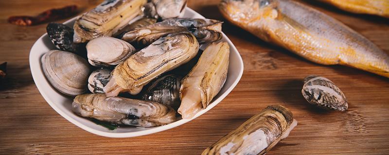 竹节蛏子需要去内脏吗（竹节蛏怎么吃才干净）