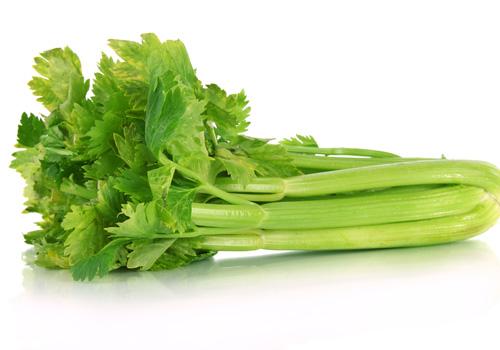 减肥吃什么食物好（刚开始减肥吃什么食物好）