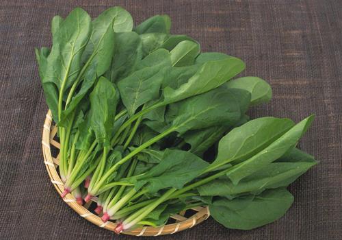 吃什么蔬菜减肥效果好 吃什么蔬菜减肥效果好