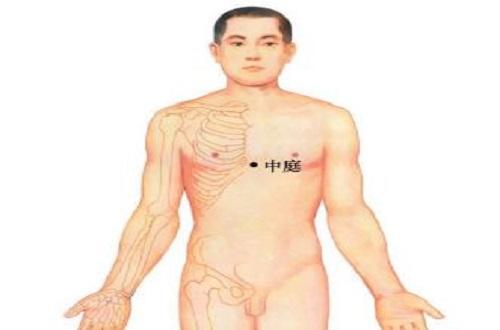 中庭的准确位置图片（中庭的准确位置图片作用）