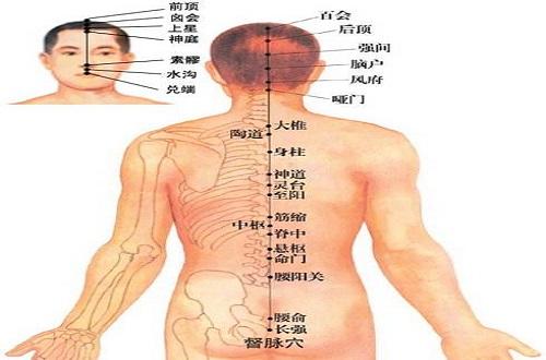 长强准确位置图和作用 长强准确位置图和作用视频