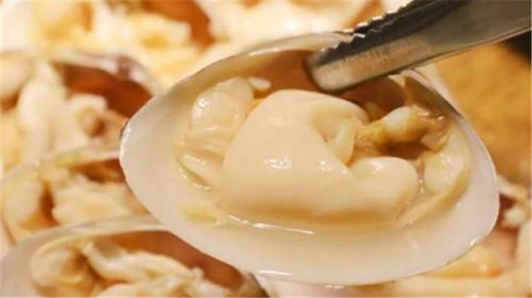 海蚌的功效与作用 海蚌的功效与作用及营养