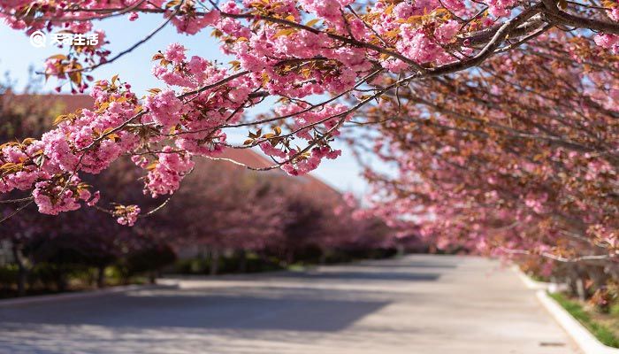 广安市春季赏花去哪里 推荐广安市春季赏花好去处