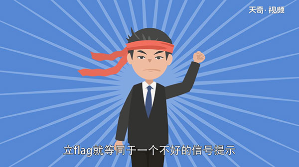 Flag是什么意思