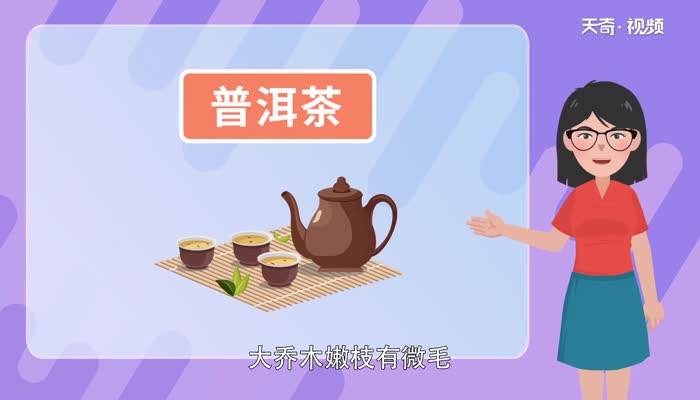 普洱茶的功效与作用禁忌 普洱茶的功效