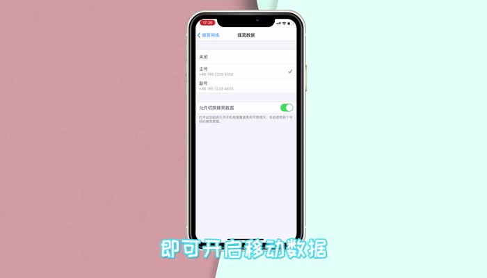 苹果手机移动数据怎么开 苹果手机移动数据在哪里打开