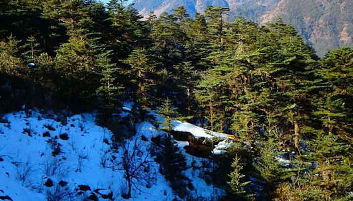 轿子雪山有多高 轿子雪山的海拔多少