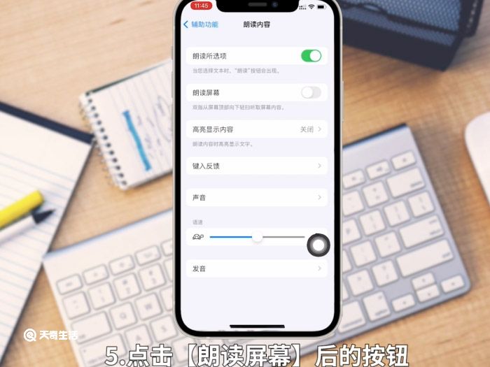 iphone怎么朗读文本 iphone朗读文本可以吗