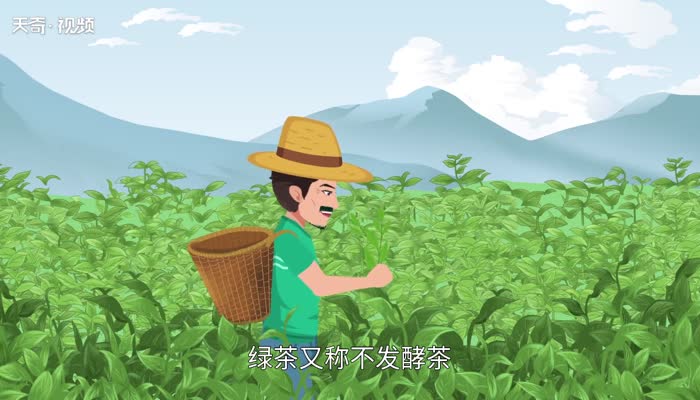 哪些茶叶是绿茶 哪些茶叶属于绿茶