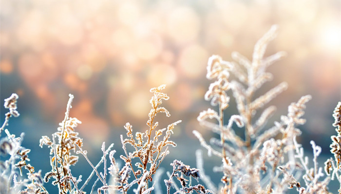 霜前冷,雪后寒的物理原因 霜前冷雪后寒是什么物理现象