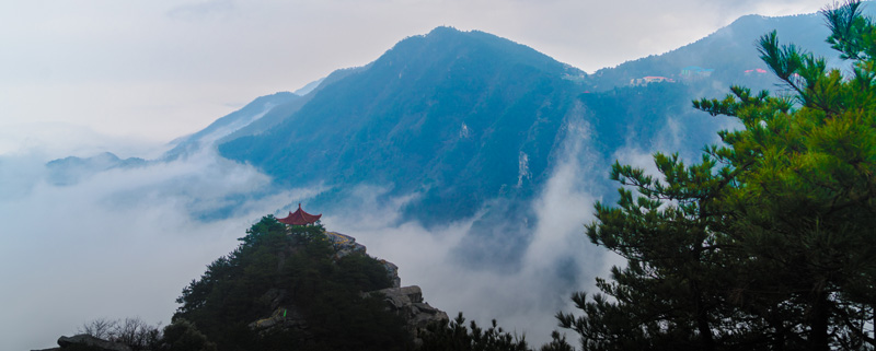 只缘身在此山中是哪首诗 只缘身在此山中的意思