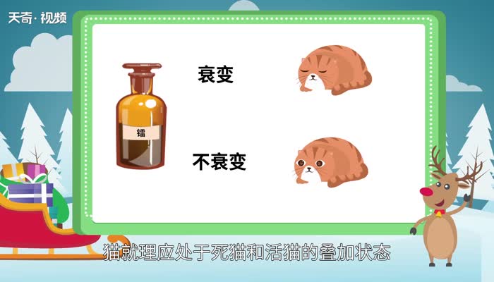 薛定谔的猫是什么意思 薛定谔的猫什么意思