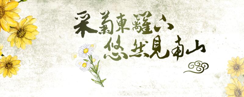 采菊东篱下是什么季节  采菊东篱下什么意思